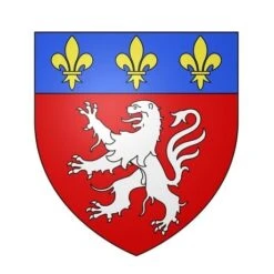 Chevalière Tonneau -Vivalatina Boutiqe Blason ville Lyon