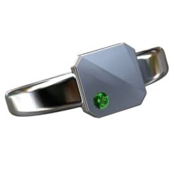 Chevalière Platine Pour Homme 34 Chevalière Platine Pour Homme -Vivalatina Boutiqe Chevaliere platine homme 13