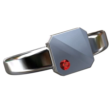 Chevalière Platine Pour Homme 19 Chevalière Platine Pour Homme – Image 18