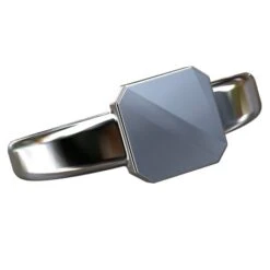 Chevalière Platine Pour Homme 25 Chevalière Platine Pour Homme -Vivalatina Boutiqe Chevaliere platine homme 2