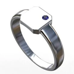 Chevalière Platine Pour Homme