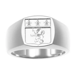 Chevalière Tonneau -Vivalatina Boutiqe Chevaliere tonneau homme 6