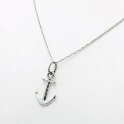 Collier Chaîne Platine Pour Homme 20 Collier Chaîne Platine Pour Homme -Vivalatina Boutiqe Collier chaine platine homme 10