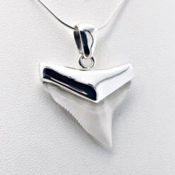 Pendentif Dent De Requin -Vivalatina Boutiqe Pendentif dent requin bouledogue argent 1