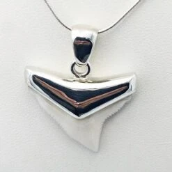 Pendentif Dent De Requin -Vivalatina Boutiqe Pendentif dent requin bouledogue argent 4