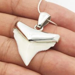 Pendentif Dent De Requin -Vivalatina Boutiqe Pendentif dent requin bouledogue argent 6