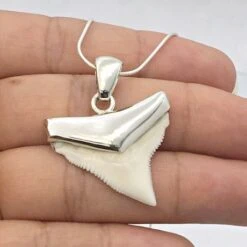 Pendentif Dent De Requin -Vivalatina Boutiqe Pendentif dent requin bouledogue argent 7