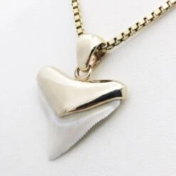 Pendentif Dent De Requin -Vivalatina Boutiqe Pendentif dent requin bouledogue or 3