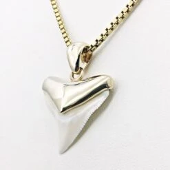 Pendentif Dent De Requin -Vivalatina Boutiqe Pendentif dent requin bouledogue or 5