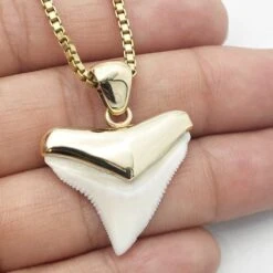 Pendentif Dent De Requin -Vivalatina Boutiqe Pendentif dent requin bouledogue or 7