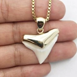 Pendentif Dent De Requin -Vivalatina Boutiqe Pendentif dent requin bouledogue or 8