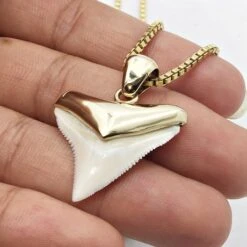 Pendentif Dent De Requin -Vivalatina Boutiqe Pendentif dent requin bouledogue or 9