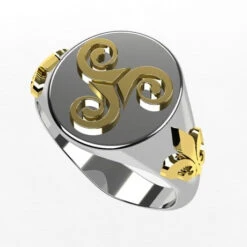 Bague Triskel Celtique Ronde En Argent Et Or 18k
