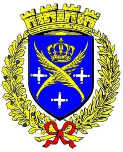 Chevalière Ovale Avec Blason Personnalisé -Vivalatina Boutiqe blason pour chevaliere