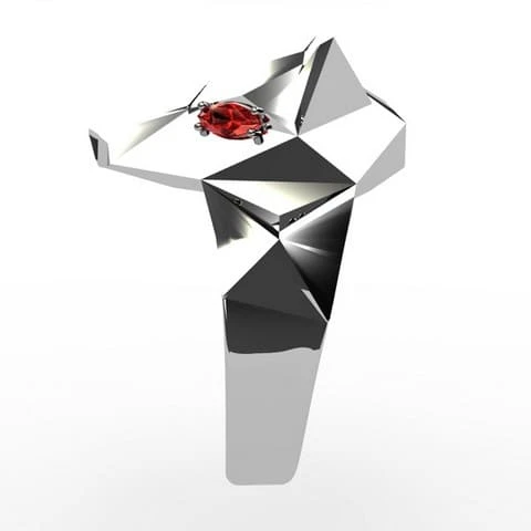 Chevalière Tête De Loup – Image 6